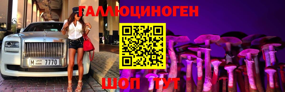 Псилоцибиновые грибы MAGIC MUSHROOMS Химки